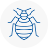 Bed Bug Extermination In Abergele