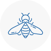 Bee Nest Removal Abergele