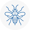 Abergele Hornet Nest Removals
