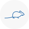 Mice Exterminators In Abergele