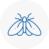 Moth Control Specialists In Abergele