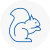 Abergele Rodent Removals